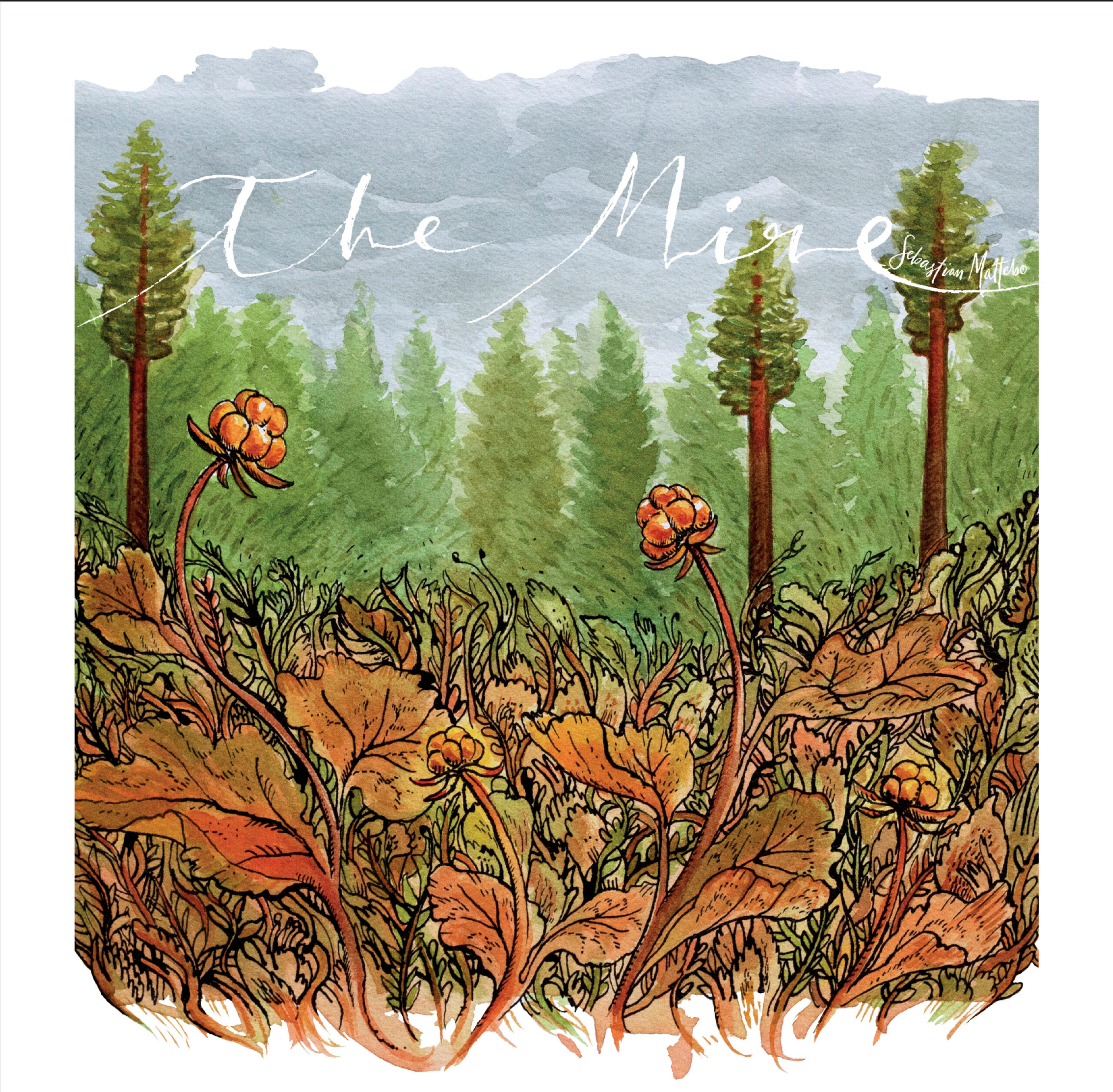 Konsert, Sebastian Mattebo